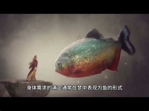 夢到龍魚號碼|夢見龍魚